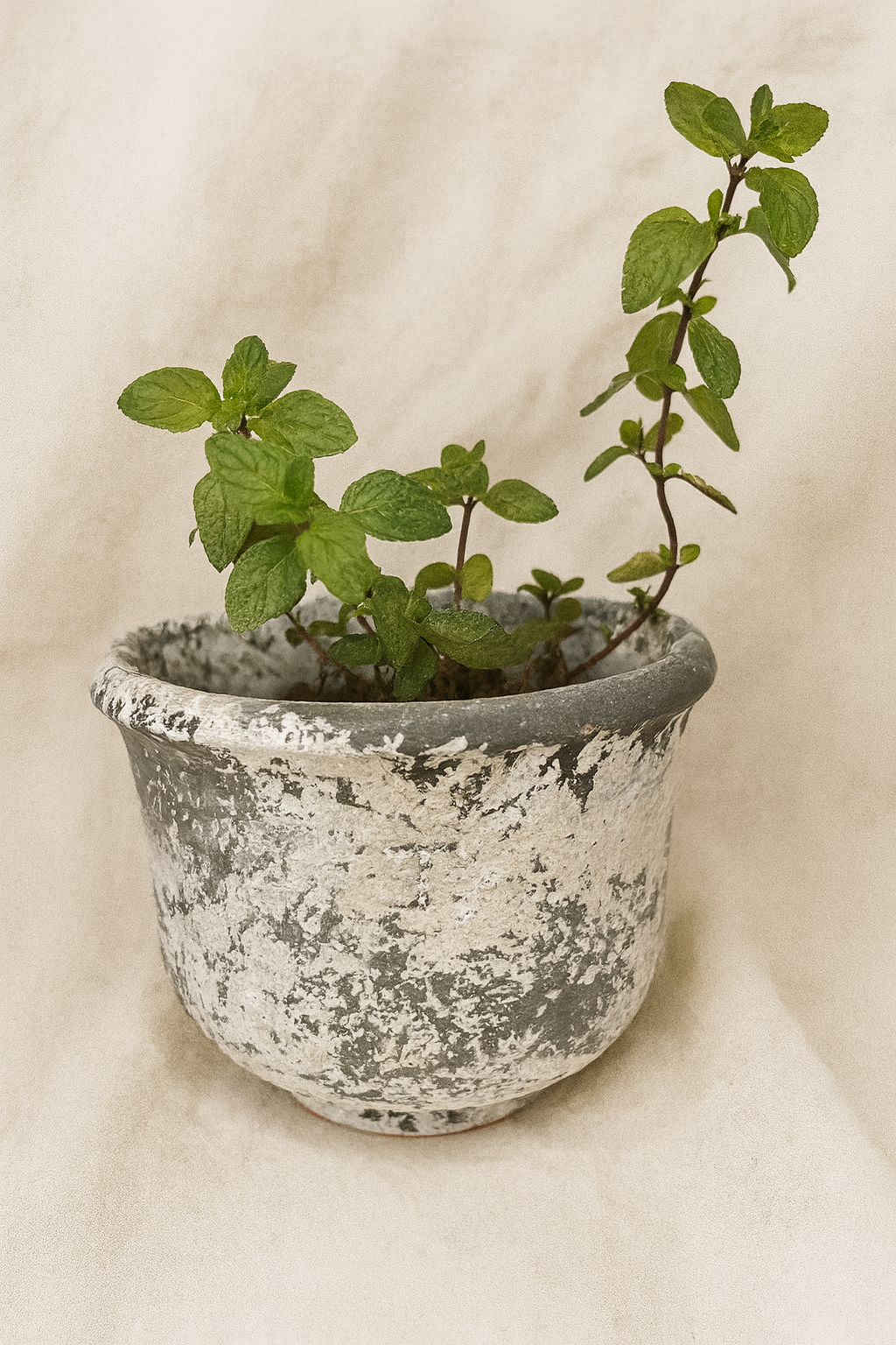 Tarracota aged planter in brown