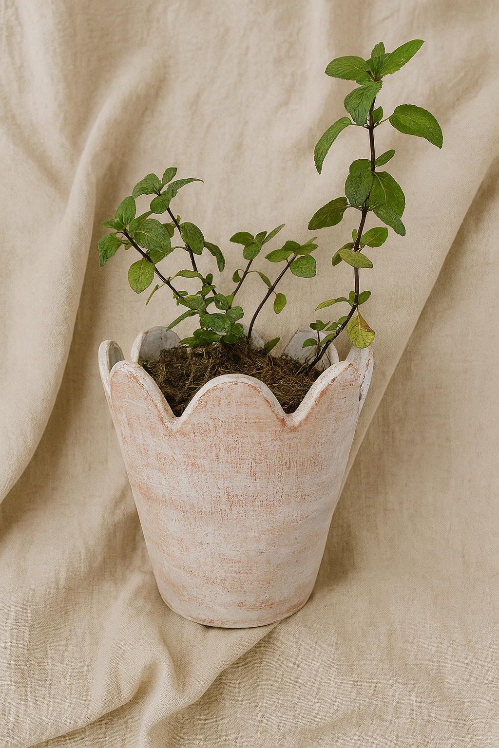 Tarracota flower edge planter